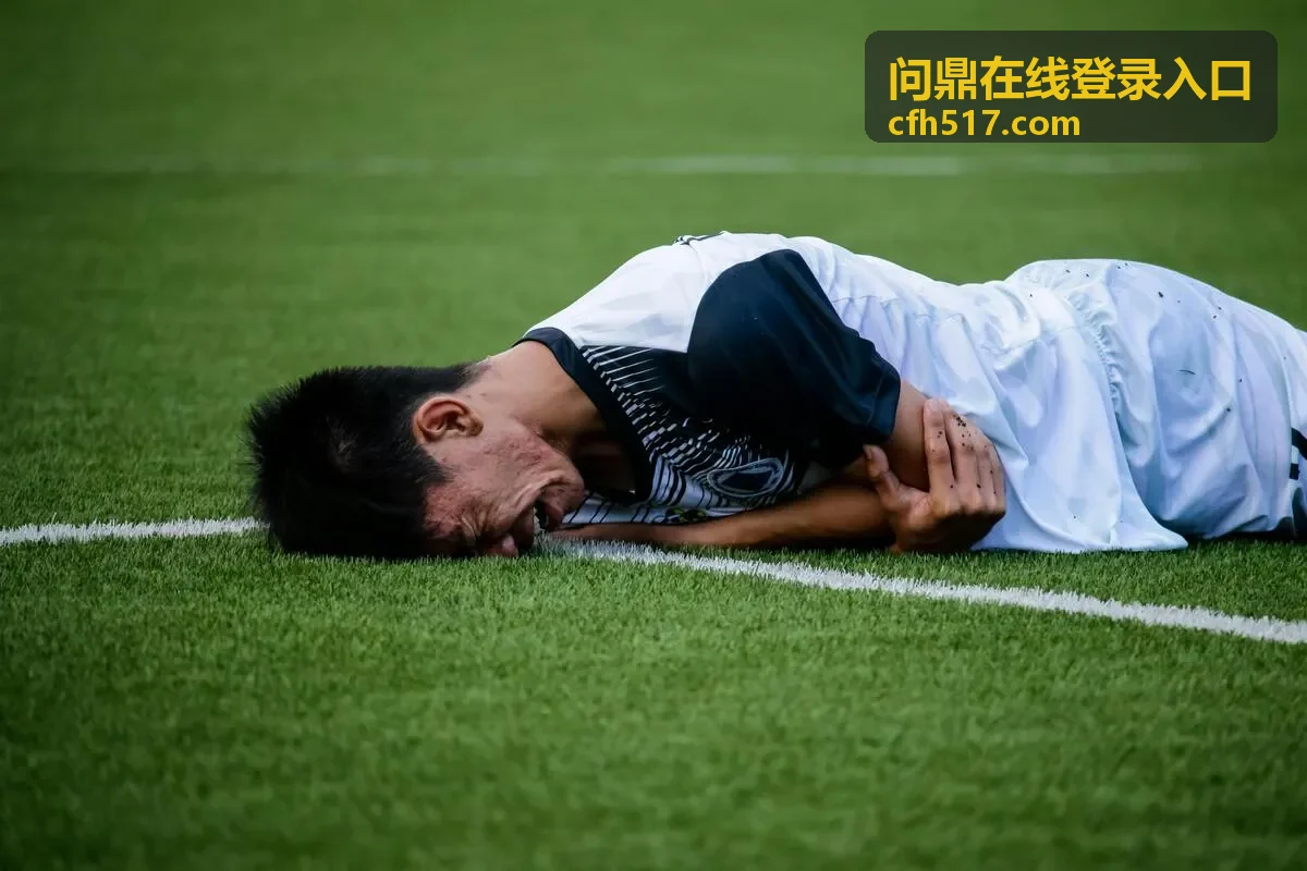 问鼎在线登录入口的登录通道操作界面预览
